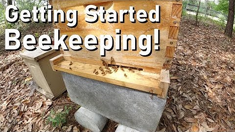 Getting Started Beekeeping!  |  Installing our first Nuc