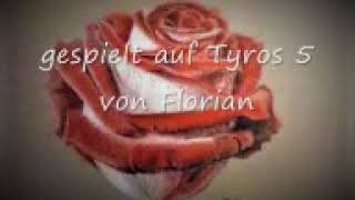 Überall blühen Rosen (Tyros 5, Florian 2017)