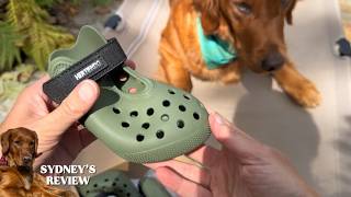 Hot Pavement Dog Crocs-like Shoes: Protect Your Dog's Paws! by Hertiendo