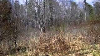 117 Harvey Smith Rd video tour
