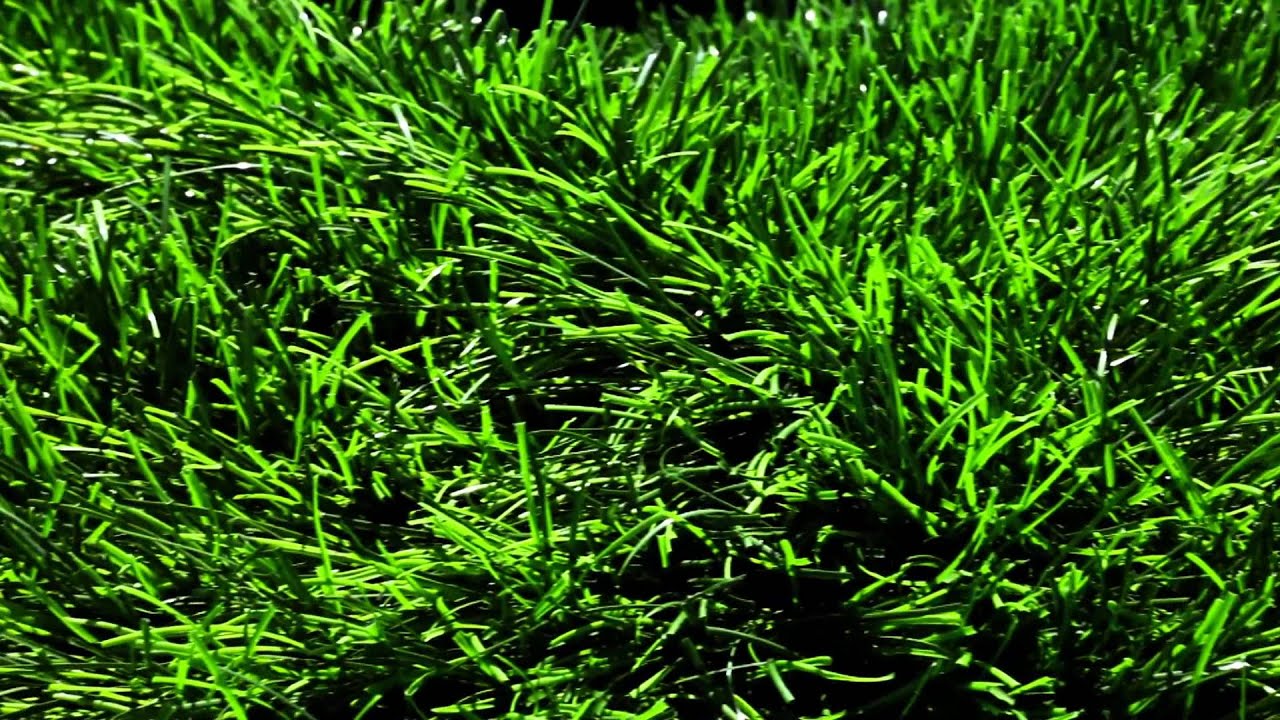 Buenos Aires Football   Colocación Césped Sintético El espartano HD