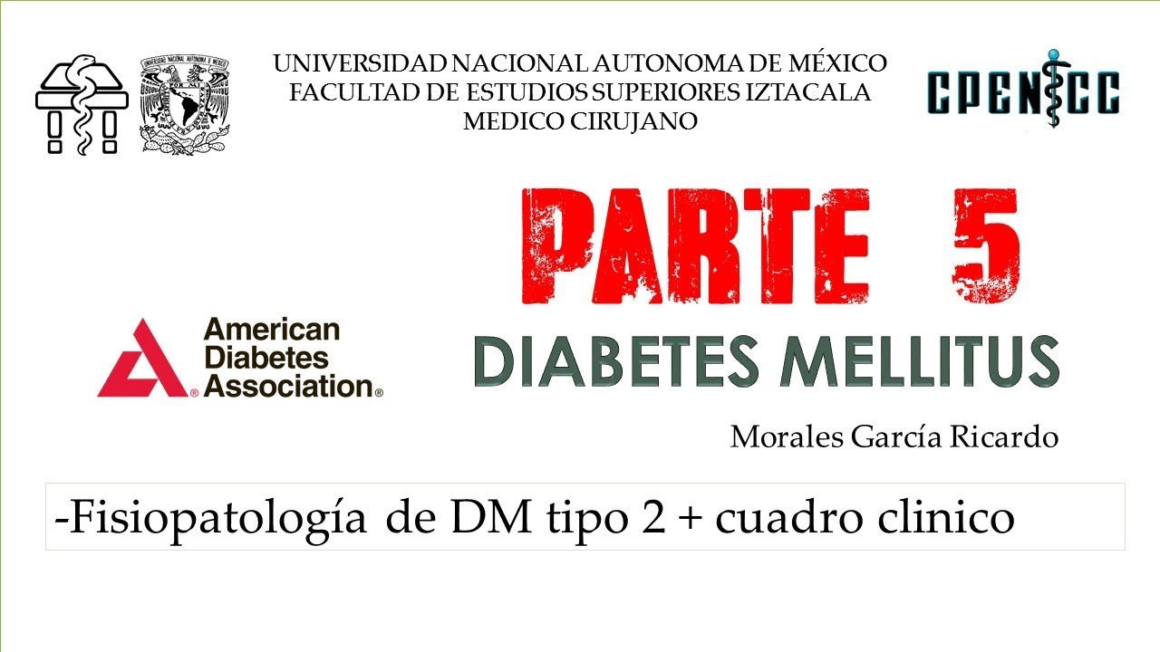 cuadro clinico diabetes mellitus 2 fisiologia