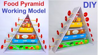 food pyramid working model 3d for class 9 and class 10th | TLM | howtofunda @craftpiller