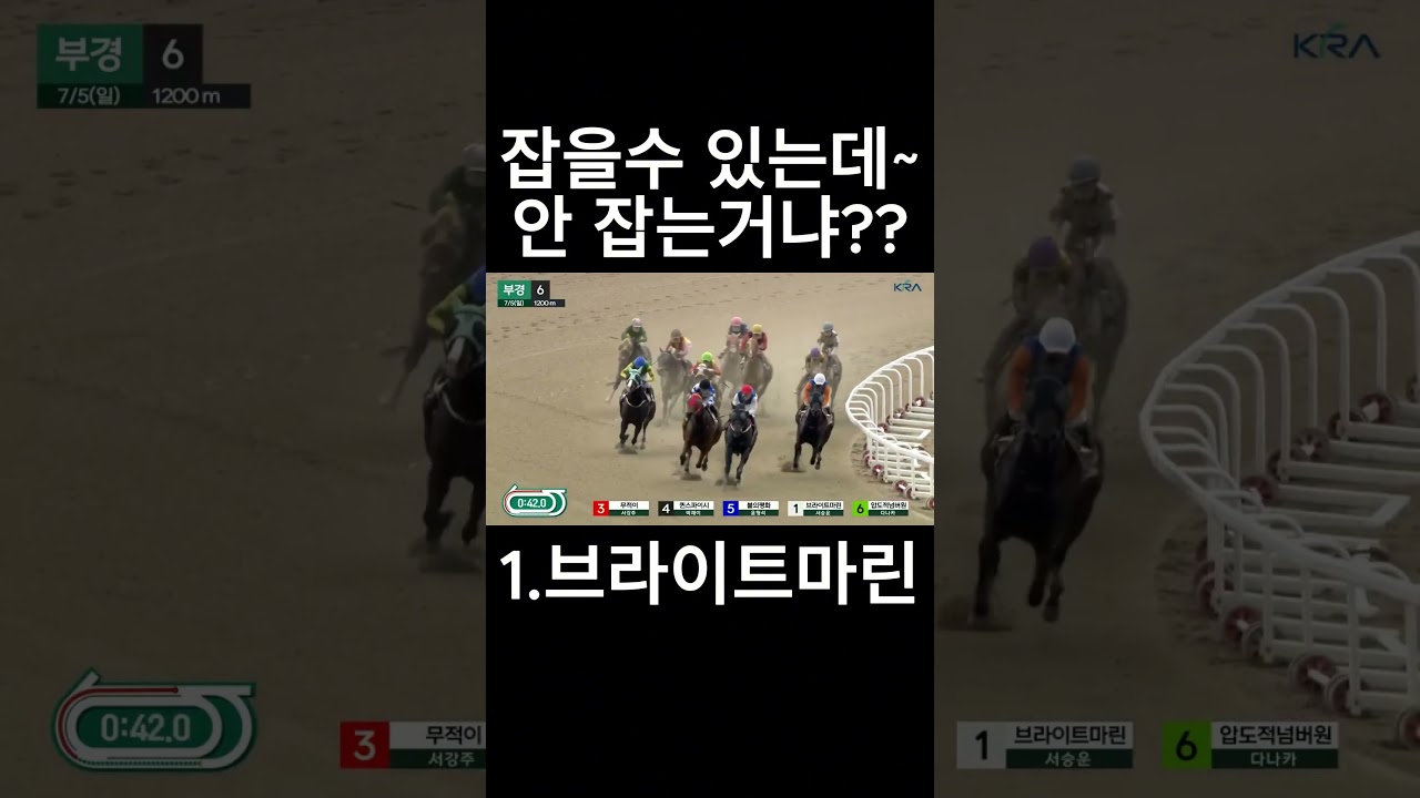 잡을수있는데~  #경마  #경마예상  #경마방송  #경마예상방송  #서울경마  #금요경마  #토요경마  #일요경마 #경마장