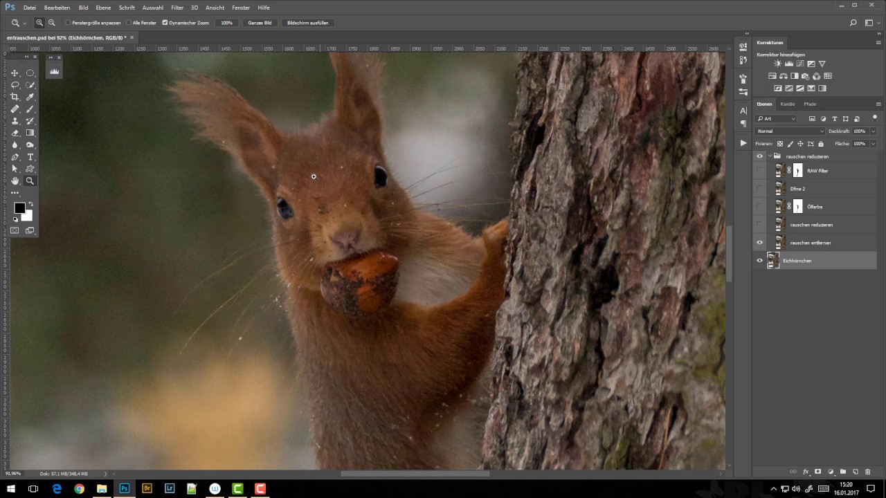 methoden-um-rauschen-zu-entfernen-mit-photoshop-cc-naturbilder