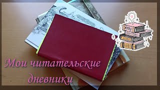 Книжные хроники : мои читательские дневники-какие они?