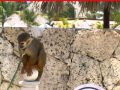 Punta Cana May 2016 - Grand Bahia Principe Bavaro - YouTube