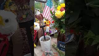 Jackie the bald eagle 🦅 memorial. R.I.P. beautiful fishing won't be the same without you... love you