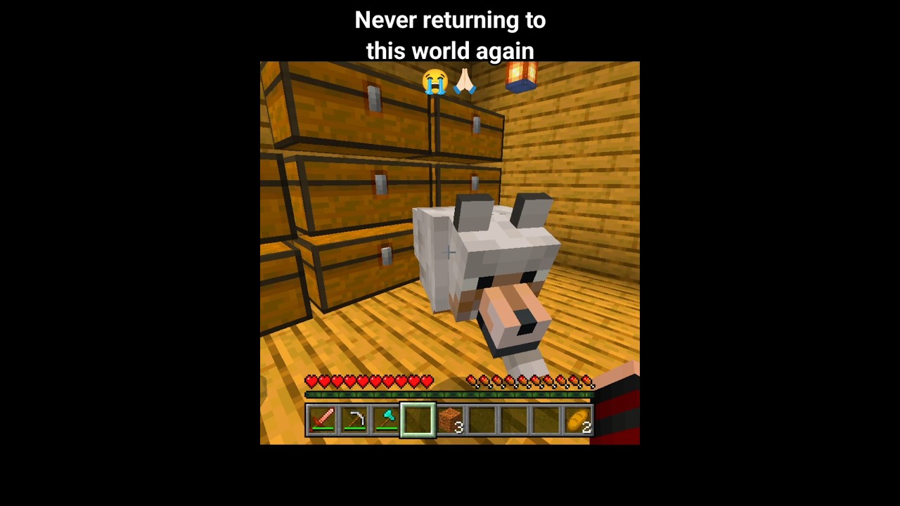 Never Returning To This World Again 😭