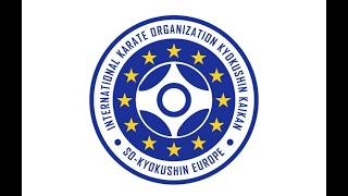 So-Kyokushin European Championship (sokeuro) screenshot 4