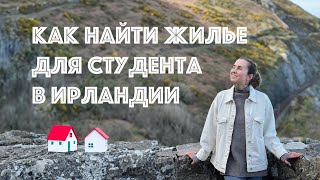 Как найти жилье для студента в Ирландии? Как я искала жилье Лимерике (трижды:))