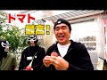 最高のトマトを食べてトマト嫌いを克服しよう