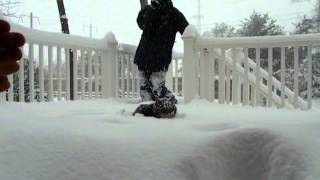 Kedi Karda Yüzüyor