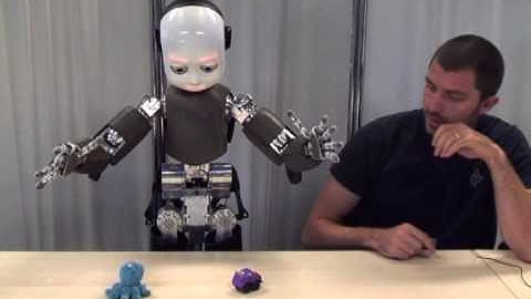 Visual Competencies for the iCub