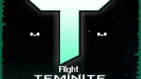 Teminite - Flight video