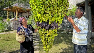 We Have Collected A Huge Harvest of Grapes and Сooking a Sweet Treat Life in the Village