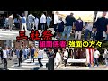 三社祭で見かけたヤクザ関係者や暴力団風の方々。