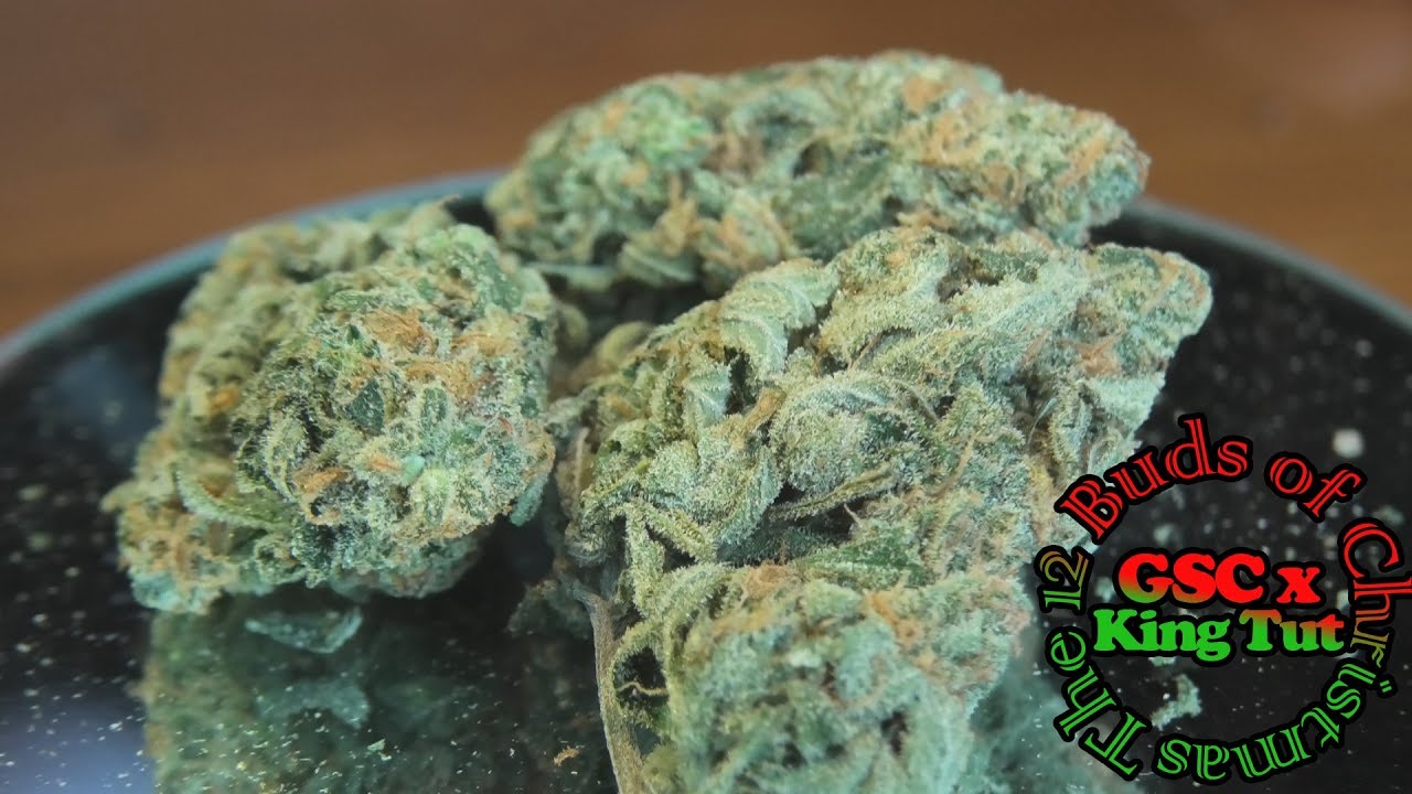 GSC x King Tut 12 Buds of Christmas