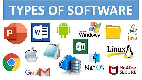 What is computer software and examples?