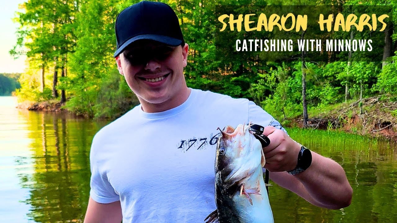 Catfishing with Minnows at Shearon Harris Fishing with Josh (2023