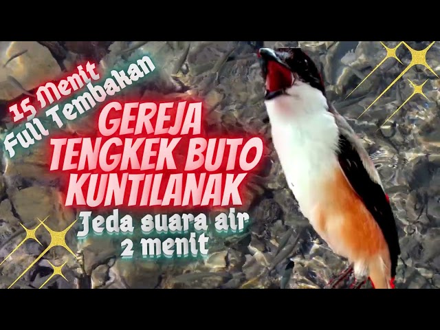 Cendet Full Tembakan Gereja, Tengkek Buto, Kuntilanak - Jeda Suara Air class=