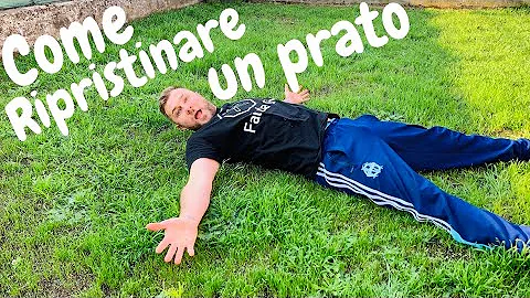 Quando rifare il prato del giardino?