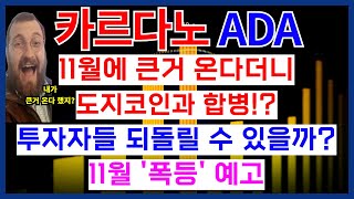 카르다노 ADA 코인 11월에 큰거 온다더니 도지코인과 합병!? 투자자들 되돌릴 수 있을까? 11월 '폭등' 예고