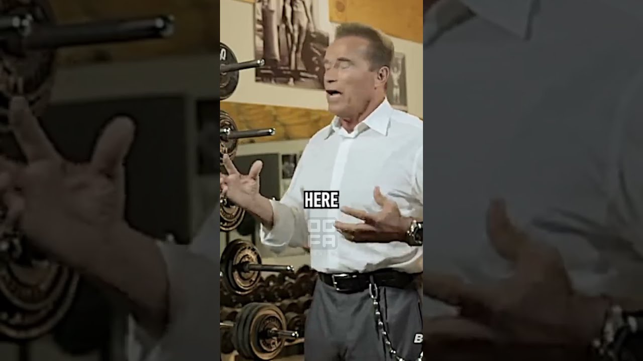 Arnold S TOP BACK Exercises Gymmotivation
