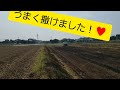 飼料米　卵屋さん　鈴木養鶏場　日出町　大分県　美味しい卵　宇佐市