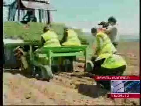 ზაზა გოროზია ხურვალეთში