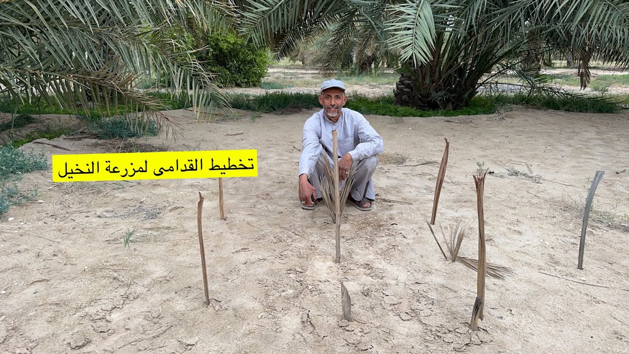 تخطيط القدامى لمزرعة النخيل والاشجار مع الزعيم ابوسلمان