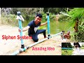 Auto Water - Siphon System!! How to install Siphon System suck water from Big River for Big Garden