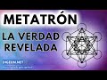 💌MENSAJE de los ÁNGELES PARA TI - DIGEON -LA VERDAD REVELADA🤍ARCÁNGEL METATRON🤍