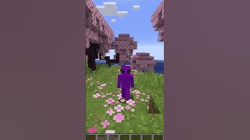 Day 55: Building a Minecraft House One Block a Day