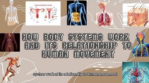 synthesis video about how body systems work and its relationship to human movement based