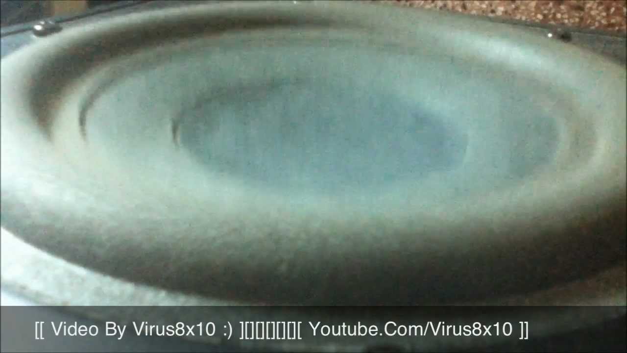 Zoga Bass (Bass Test Track)  - ZealFied