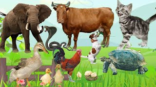 Cute little animals 2022 - Dog, cat, chicken, elephant, cow, tortoise - Animal sounds