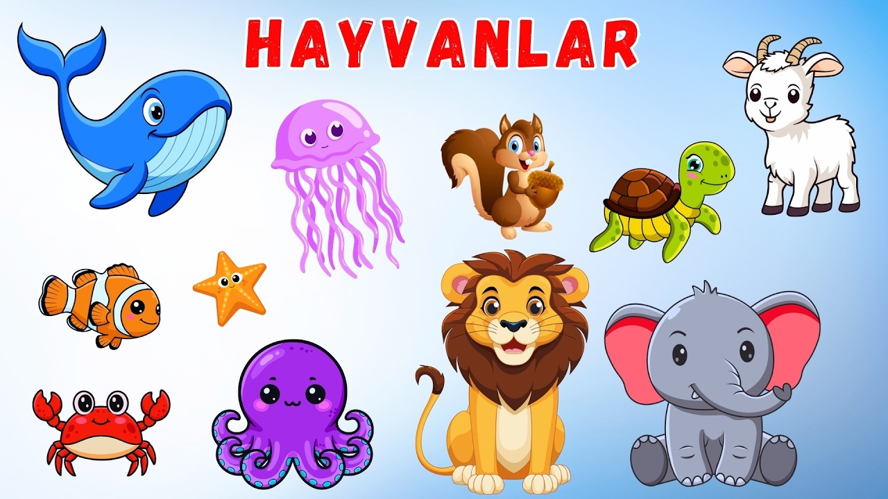 Hayvanlar🐶Geometrik Şekiller 🔺 ve Böcekleri🐞Öğrenelim | Eğitici Video  🔴Canlı Yayın 🔴