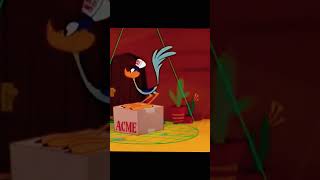 Wile E Coyote becomes Obsessed with the ACME Delivery Guy who happens to the the Road Runner