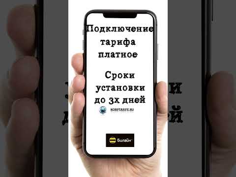 Безлимитный интернет Билайн за 100 рублей