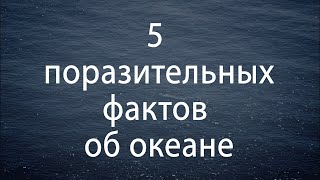 5 ПОРАЗИТЕЛЬНЫХ ФАКТОВ ОБ ОКЕАНЕ | ОКЕАН #1