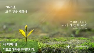 2023.3.23 (목) 새벽예배ㅣ마태복음 24장 29-35절ㅣ이신형 목사