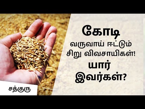 how-kovai-farmers-are-making-crores-turnover?!---an-awe-inspiring-report-|-sadhguru-tamil