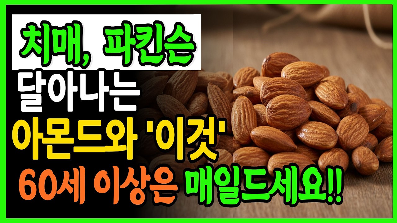 뇌 건강을 위해 아몬드를 매일 먹어야 하는 이유 | 존스홉킨스 연구 I 노후건강 I 시니어건강 I 치매예방
