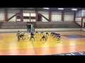 Entrenamiento Futbol Sala