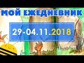 Оформление ежедневника | 29.10-04.11. 2018