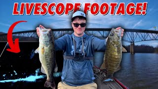 Absolutely CRUSHING Big Bass On Livescope! (Active Target 2 Footage)
