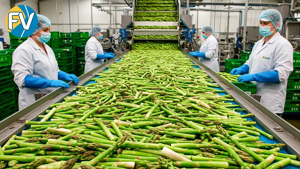 100.000 toneladas de espárragos al año. ¿Cómo se cultiva y distribuye?