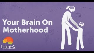 Your Brain on Motherhood