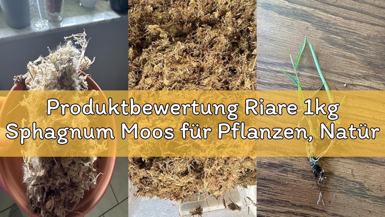 Produktbewertung Riare 1kg Sphagnum Moos für Pflanzen, Natürliches Erde für Anthrax Pflanzens trockn